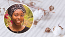 Legacies of the U.S. Cotton Economy by Sha’Mira Covington