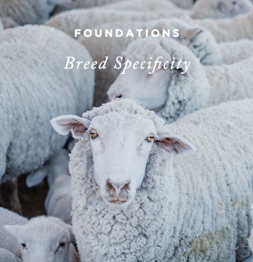 Foundations: Breed Specificity – Knitting Tutorial