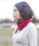 Dalleray Cowl | Knitting Pattern by Lis Smith | Brooklyn Tweed