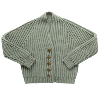 Shapeshift Cardigan | Knitting Pattern by Jared Flood | Brooklyn Tweed