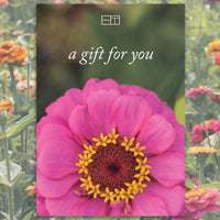Brooklyn Tweed Gift Card - Floral Print